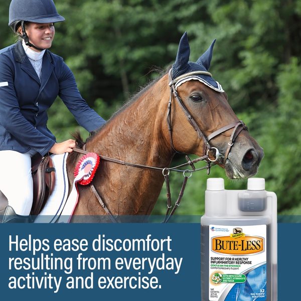 Absobine Bute-Less® Comfort & Recovery Support Solution For Cheap