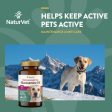 NaturVet Glucosamine DS™ Tabs For Sale